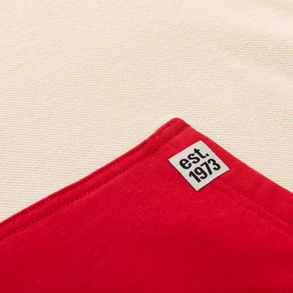 Detroit Red Wings NHL Unisex Reverse Terry Retro Premium Hoodie