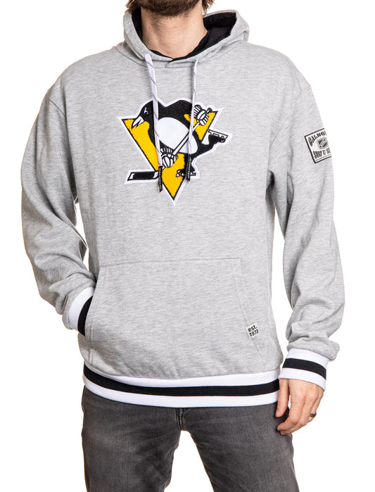 Gray hoodie with a sports team logo on a white background